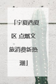 宁夏西夏区 点燃文旅消费新热潮